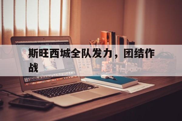 开云体育在线-斯旺西城全队发力，团结作战的简单介绍