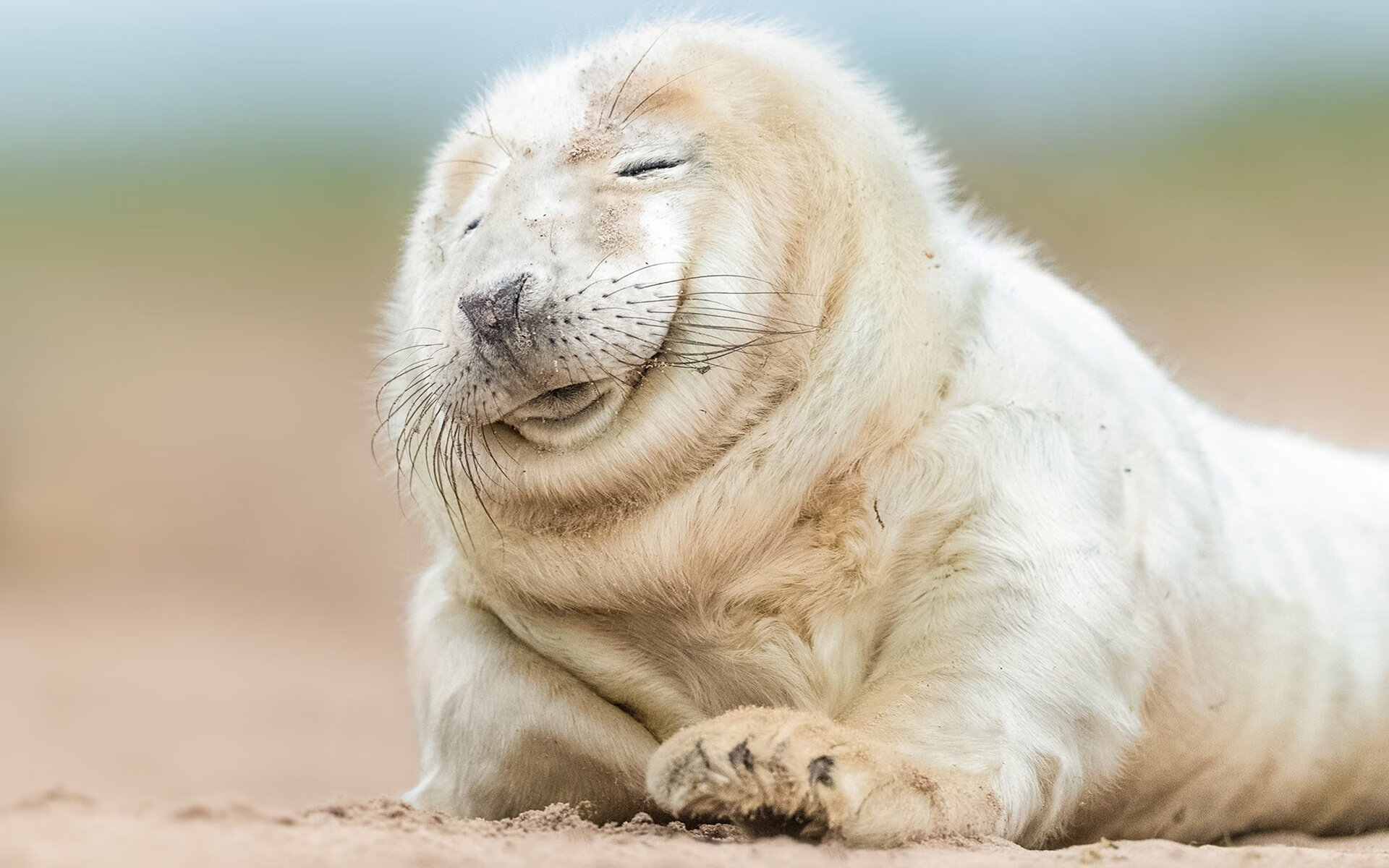 双线激战，开拓者强行终结骑士，拉文在意甲焦点战接管比赛