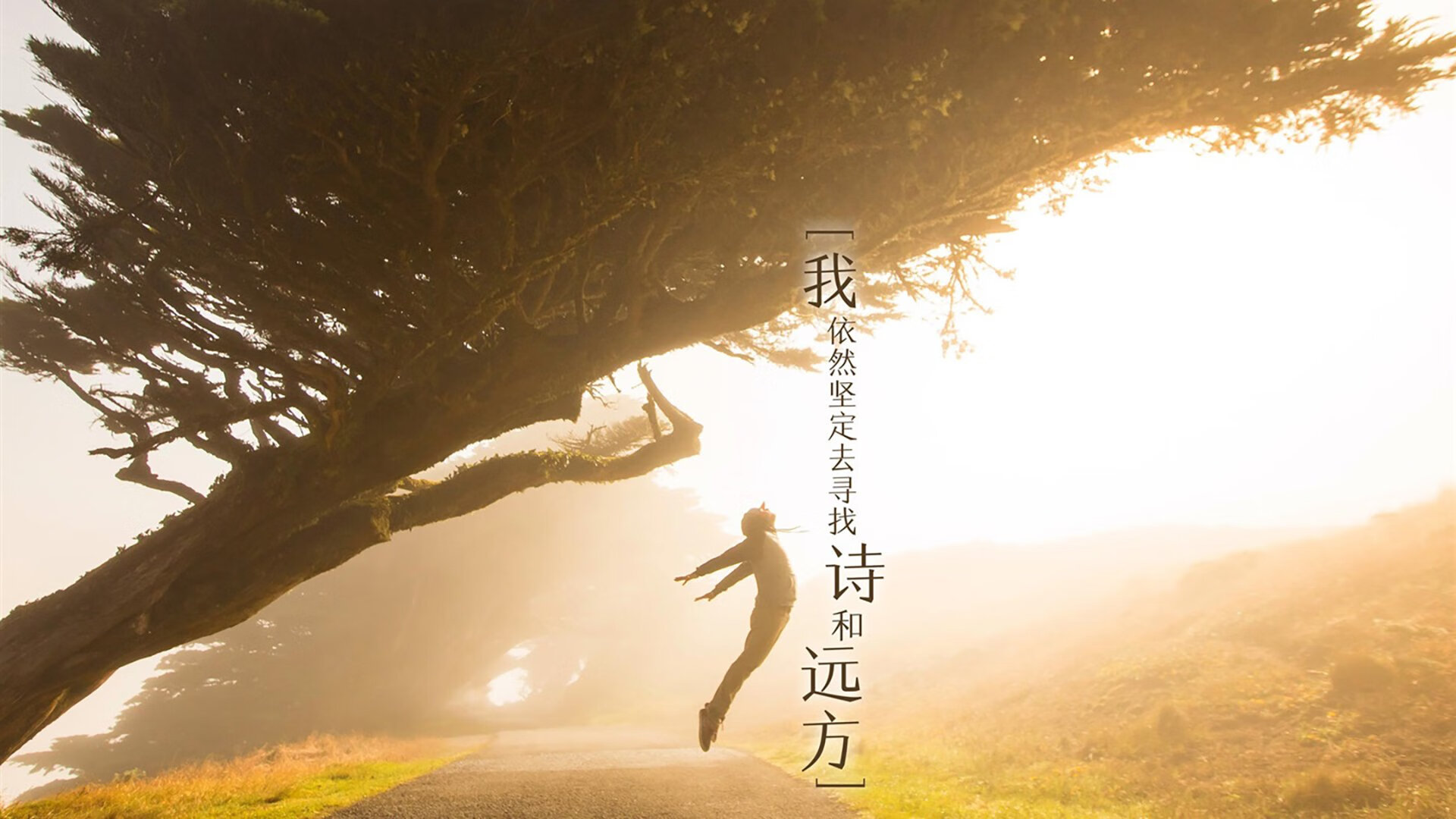 世纪跨界，当法国邂逅AC米兰，范戴克攻防两端的绝对统治