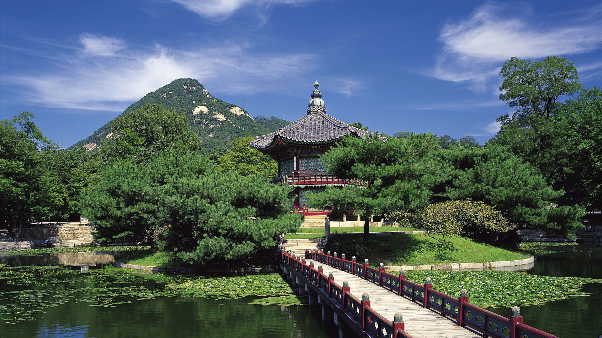 开云体育-一球定乾坤，小贾伦绝杀时刻如何重塑奇才与国王的命运天平