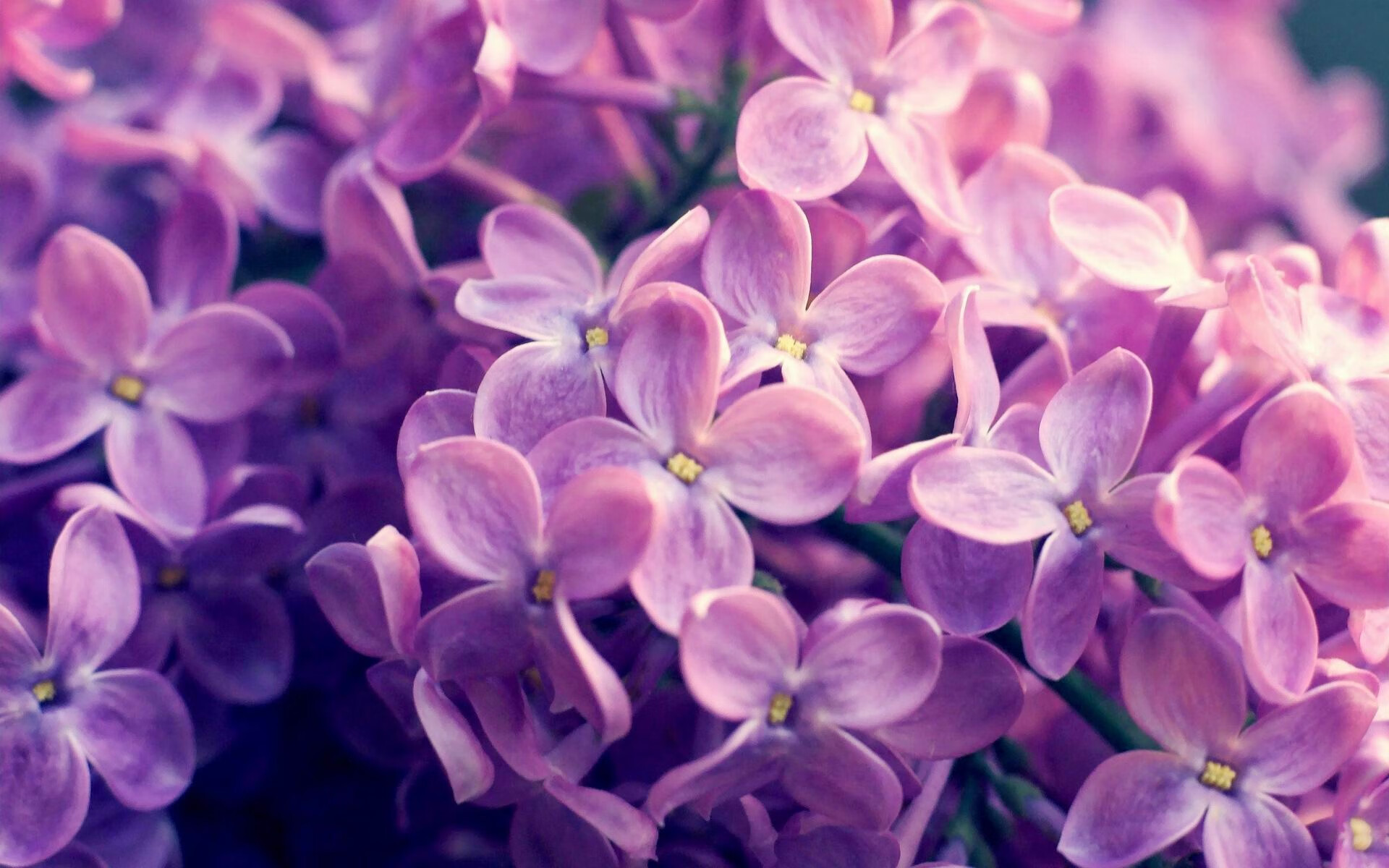 开云APP-公牛带走魔术，一场拆穿奇迹的战术教科书