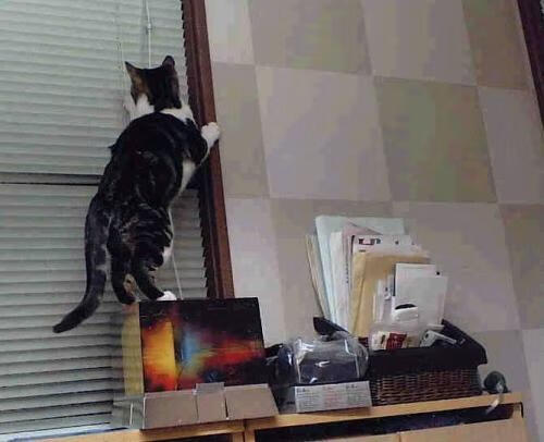 开云体育官网-双重奇迹，吉林冰城掀翻NBA豪强，伦纳德在2026世界杯戴上王冠