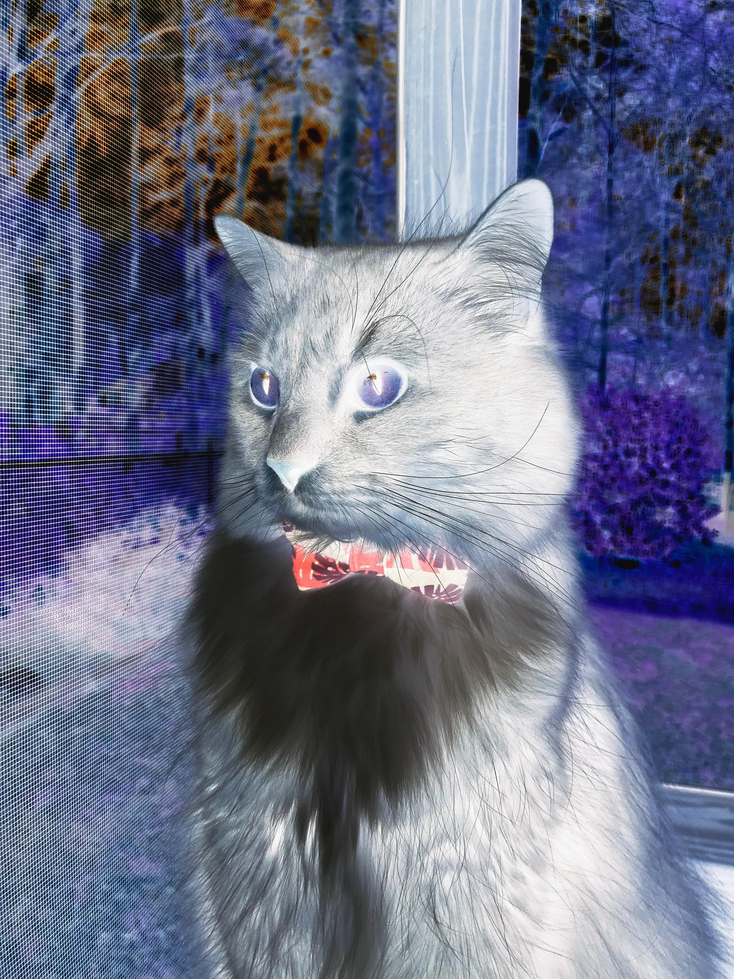 开云平台-欧冠之夜，德里赫特一夫当关，英格兰劲旅力克塞维利亚