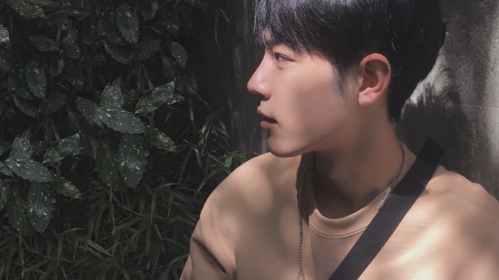 开云体育登录-战术铁幕下的胜负手，深圳队用体系压制奇才，戈贝尔擎天一柱定乾坤