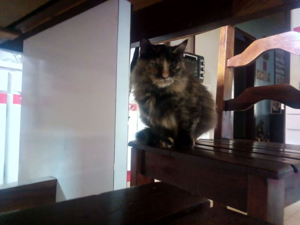 开云官网-掘金铁幕锁休城，班凯罗破局定乾坤