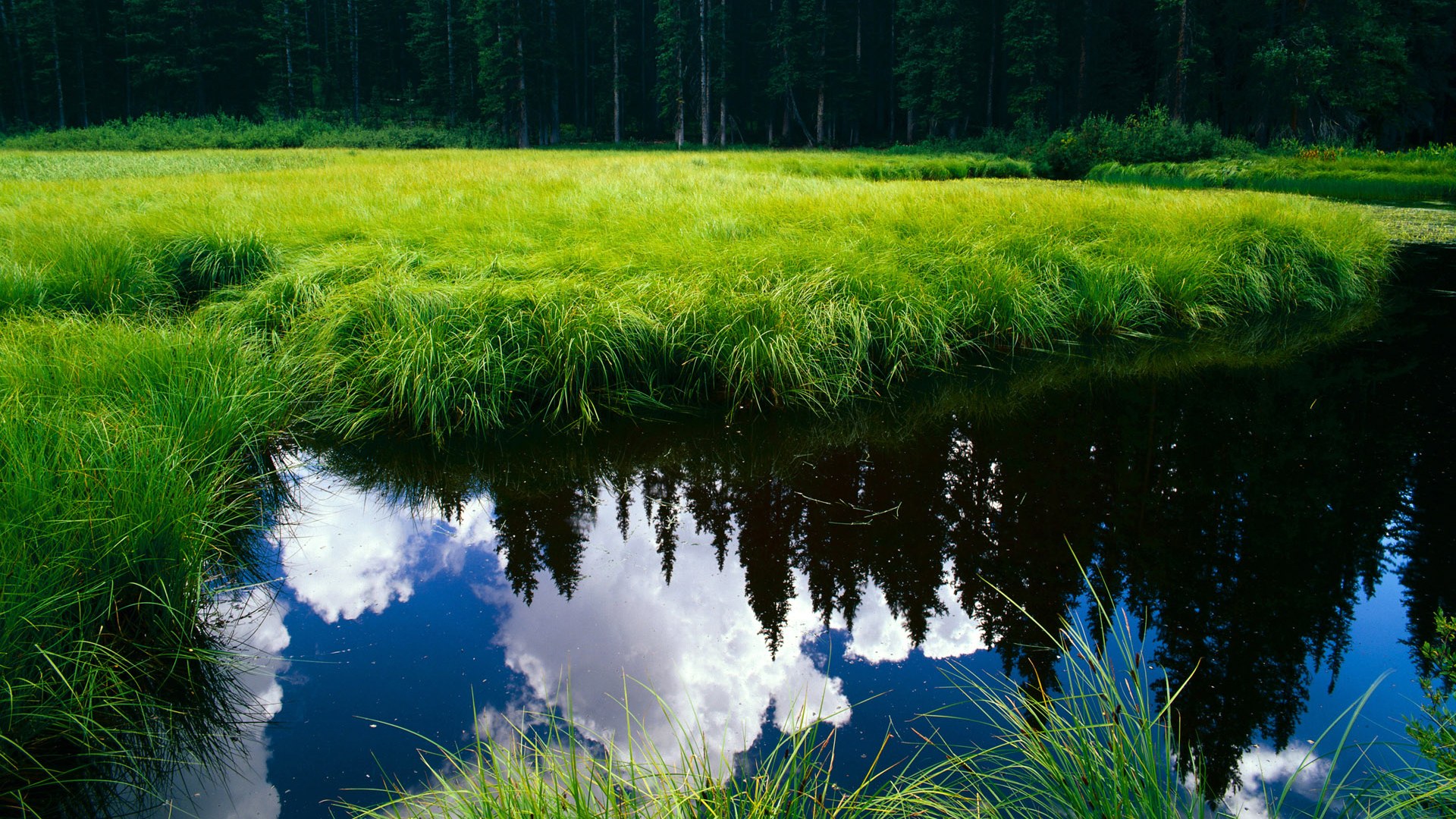 开云体育官方网站-杜兰特定鼎乾坤，灰熊单节风暴击溃爵士