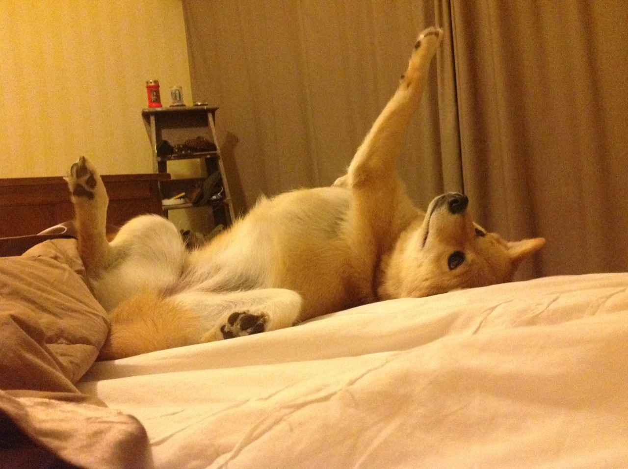 开云下载-双线狂飙，毕尔巴鄂的钢铁终结与努涅斯的王者接管