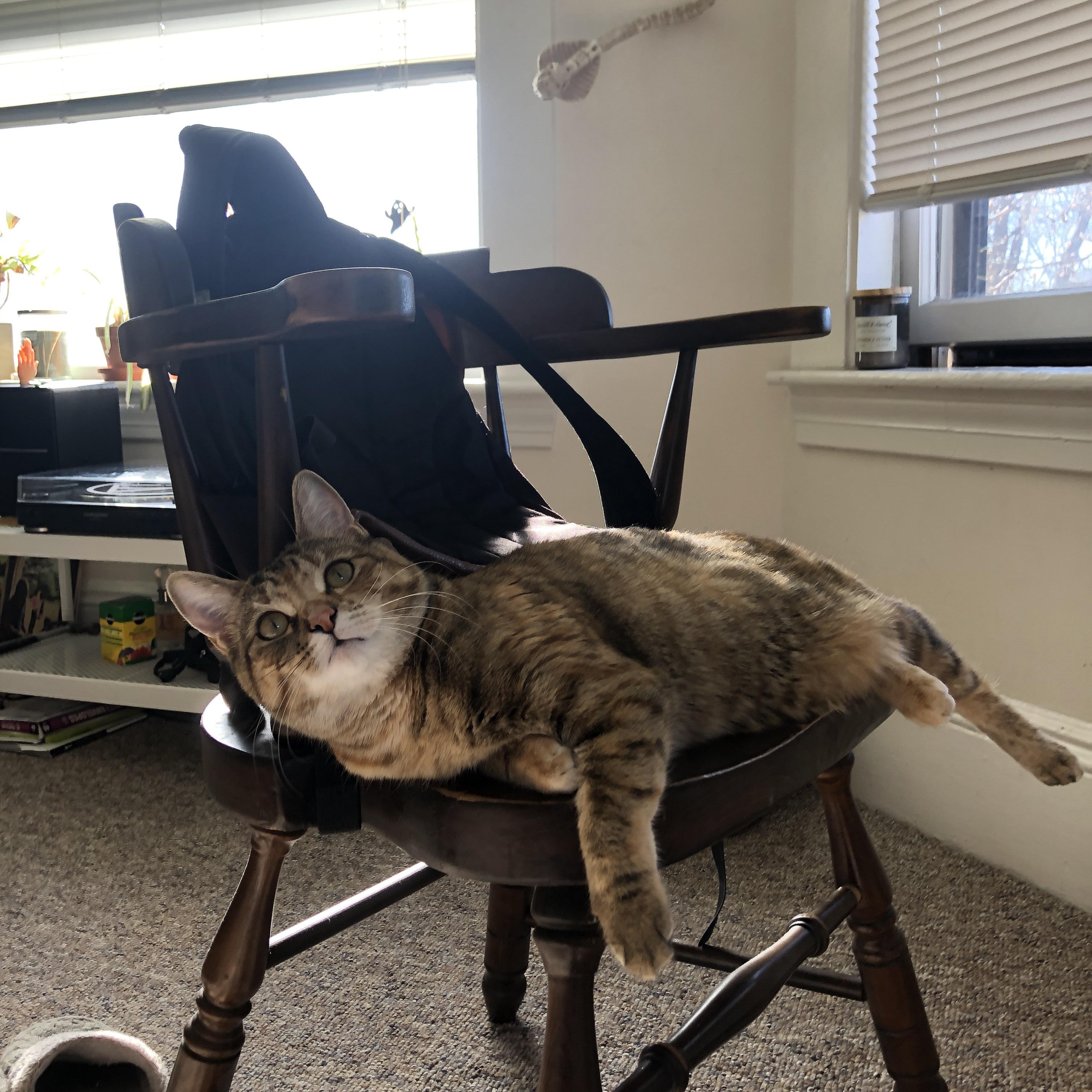 开云体育中国-双线胜利，李刚仁防守锁死对手，乌克兰全面压制希腊