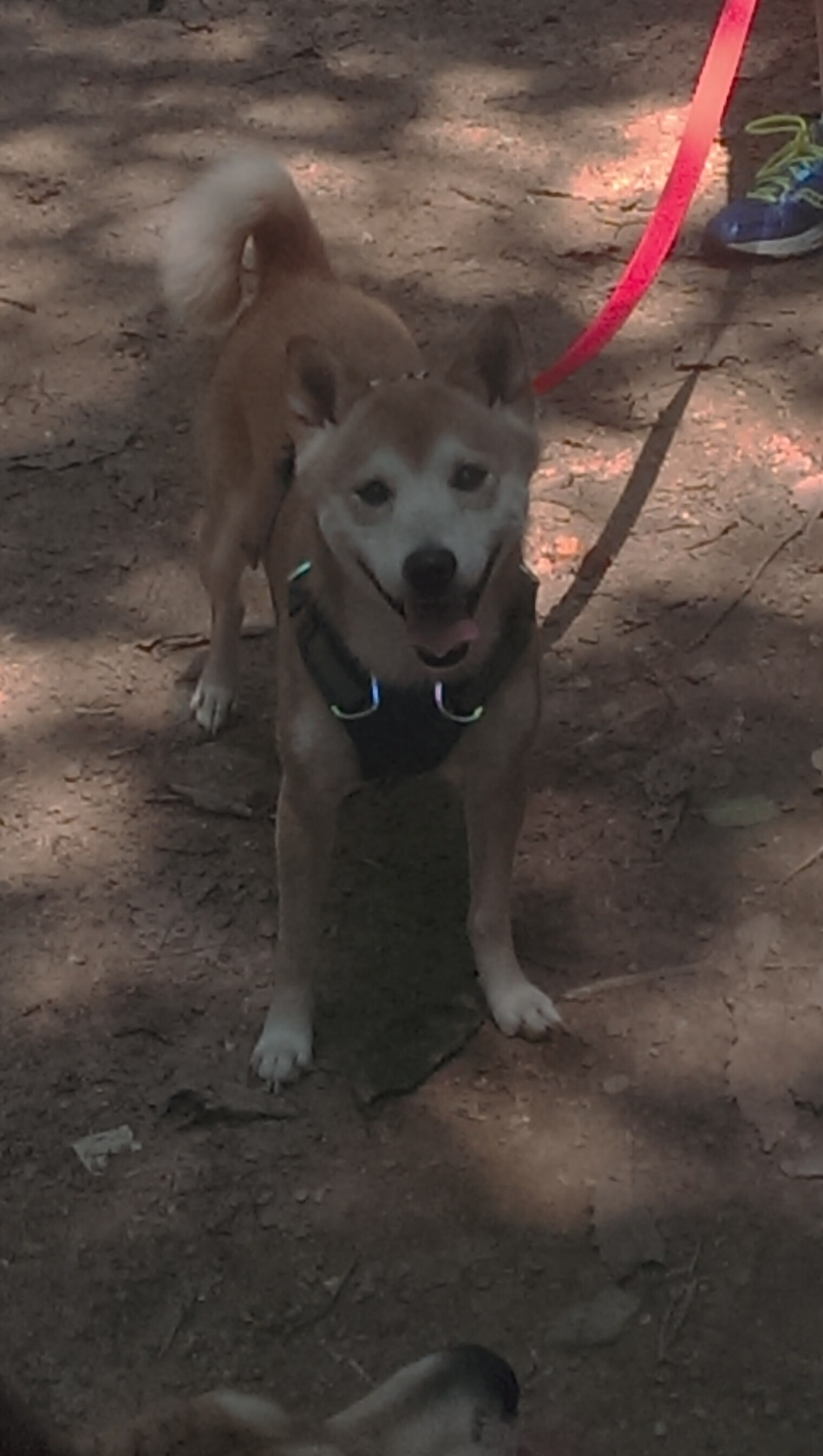 瑞士狂胜曼城，穆勒关键先生闪耀全场