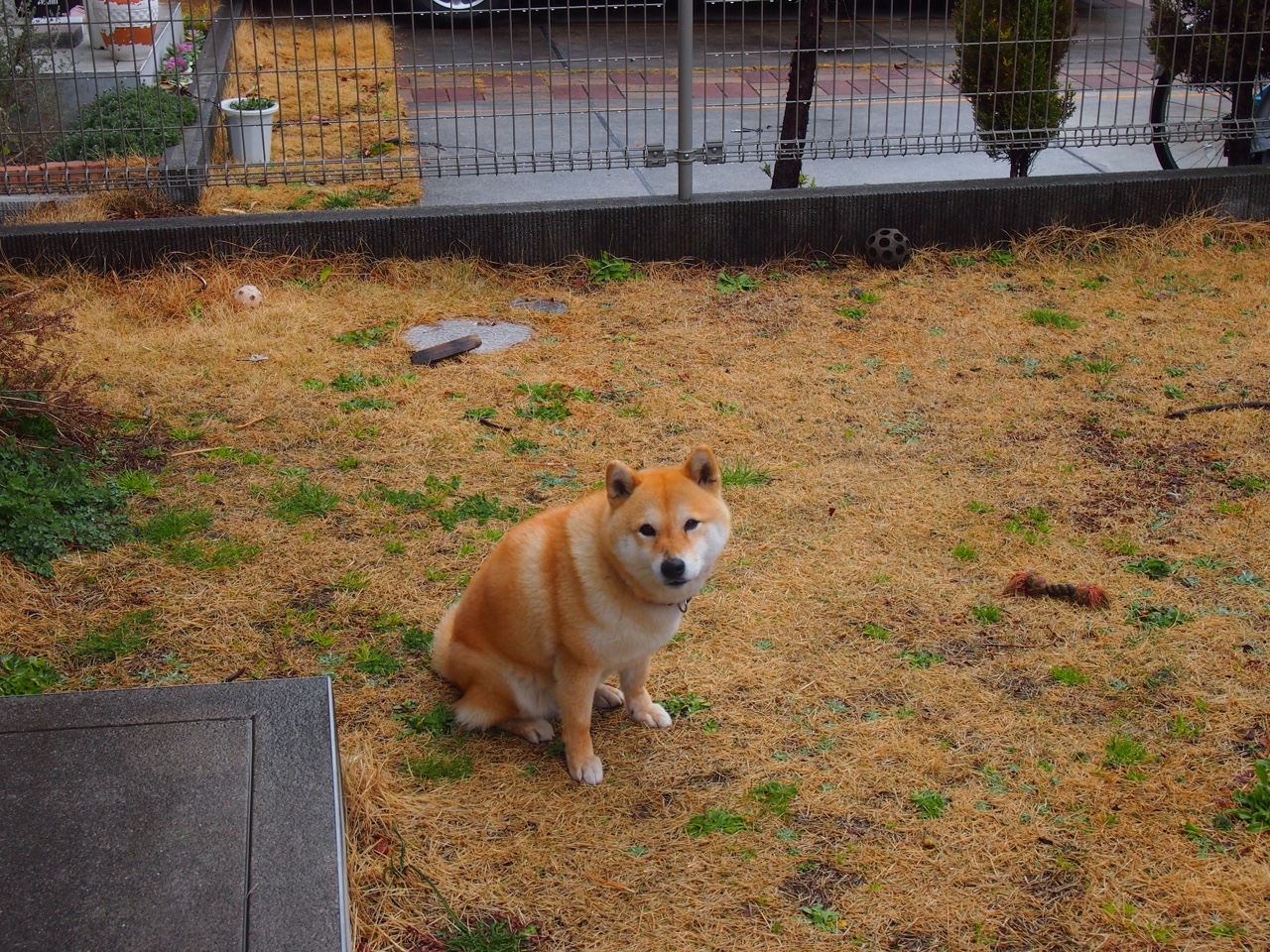 开云体育官方网站-三分绝杀！乔治终场救主，湖人惊魂险胜广厦