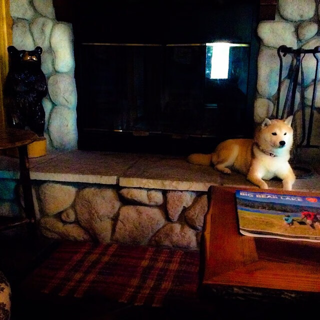 -约基奇，三双里程碑征服掘金高原，雄鹿节奏魔法冰封热火烈焰