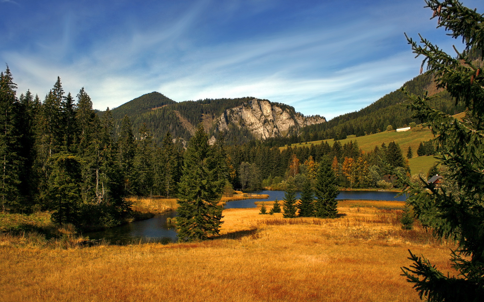 欧冠淘汰赛之夜，锡安的自我救赎