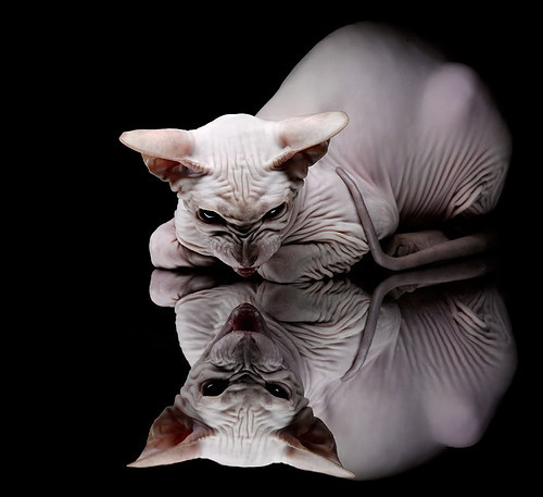 开云APP-永恒的较量，悬于一线的加时鏖战，罗马封神欧洲之巅