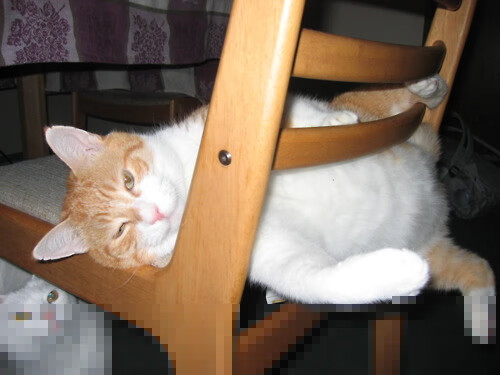 开云体育官方网站-拉文里程碑之夜闪耀，猛龙队险胜北京队展现篮球魅力