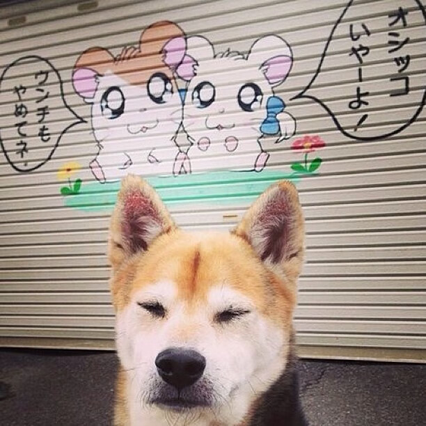 杜兰特化为胜利天平上最后一克砝码，上海男篮以极限韧性终结深圳王朝