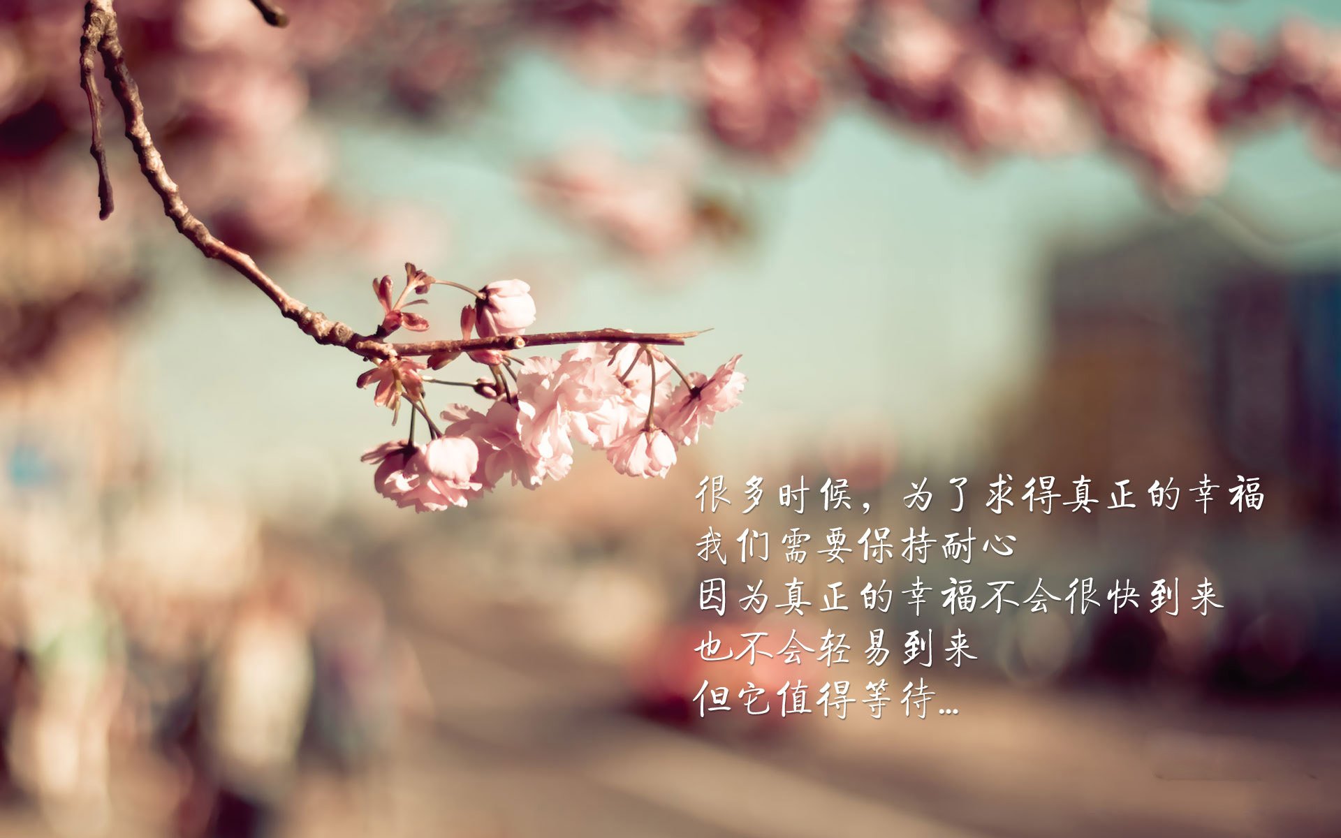 北欧风暴席卷澳洲，哈兰德两射一传，保加利亚碾压澳大利亚锁定E组头名