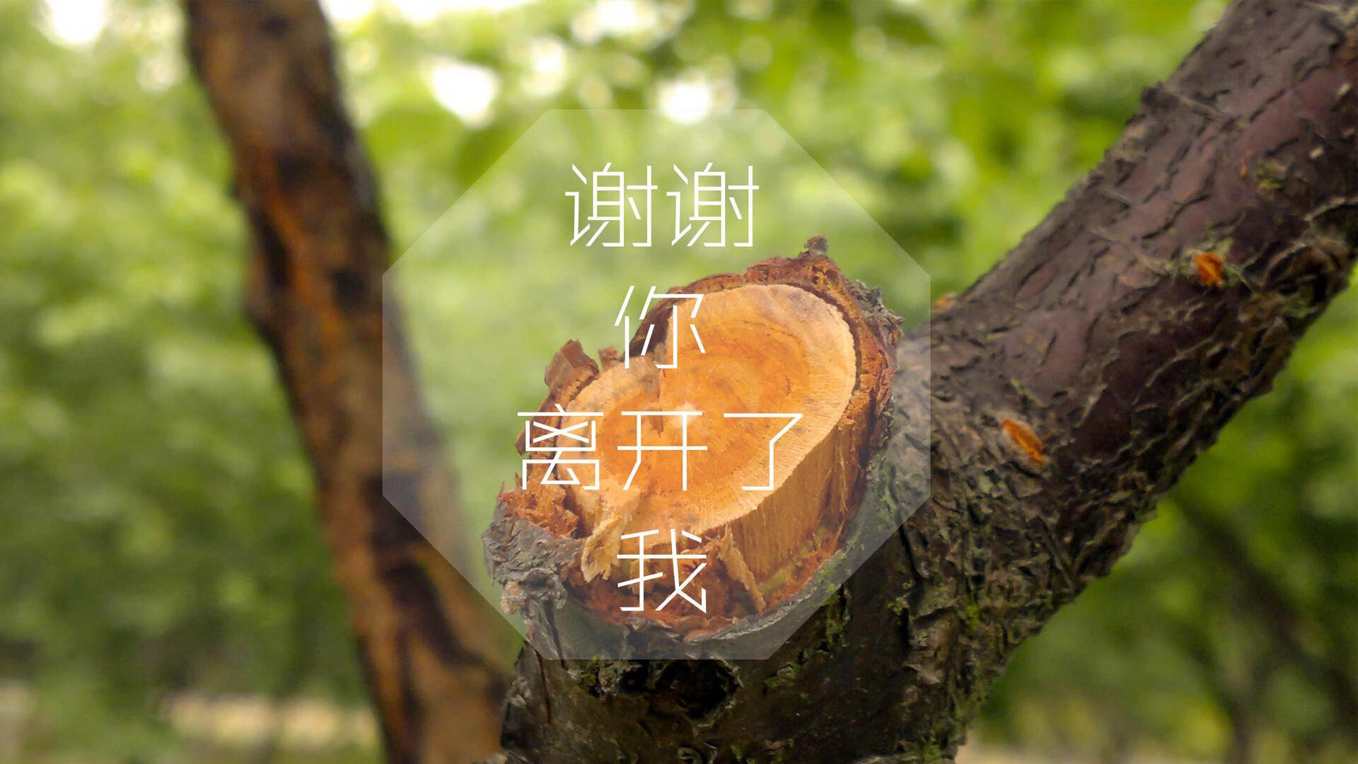 开云体育APP下载-蓝衣军团惨遭横扫，比利时风暴席卷2026世界杯G组死亡对决